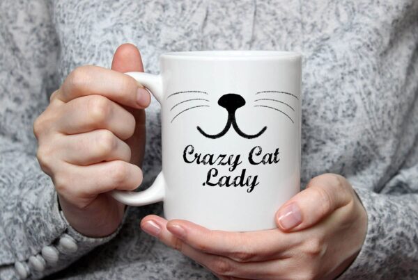 1 Crazy cat lady2