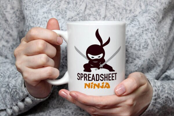 1 Spreadsheet ninja 3