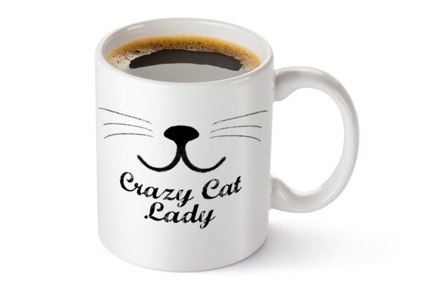 2 Crazy cat lady2 1