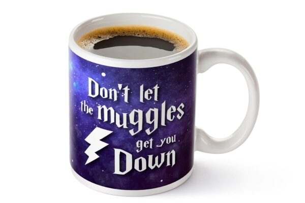 2 Dont let the muggles get you down