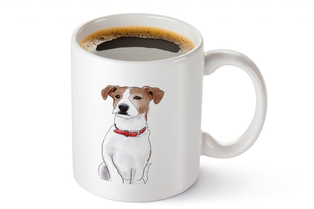2_jack-russell.jpg