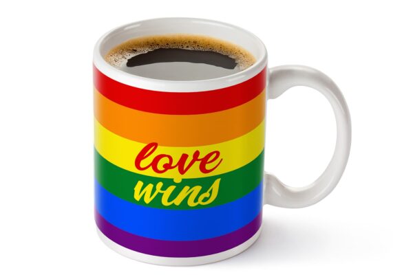 2 love wins pride flag