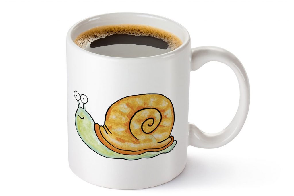 2_snail.jpg