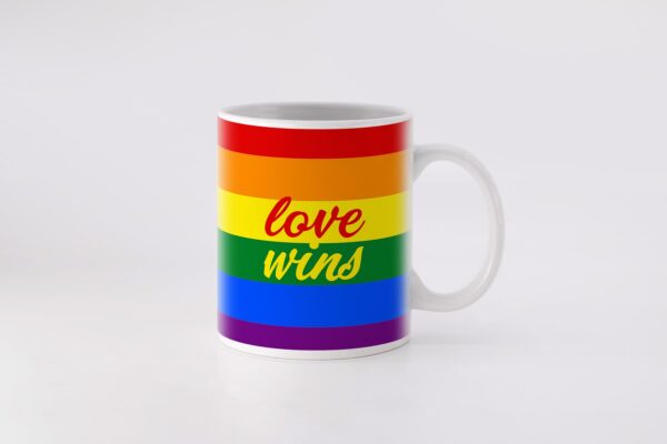 3 love wins pride flag
