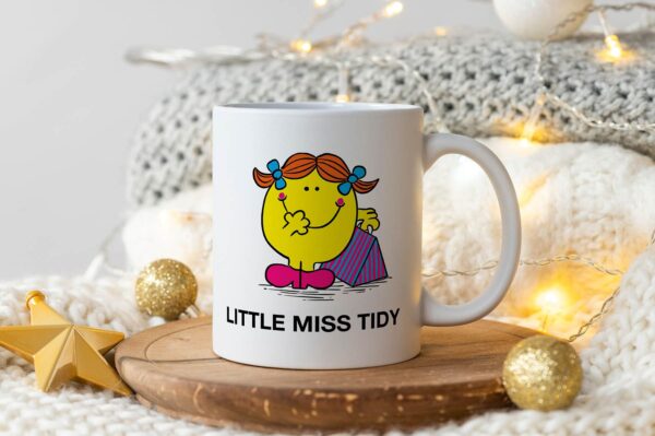 5 Little Miss tidy