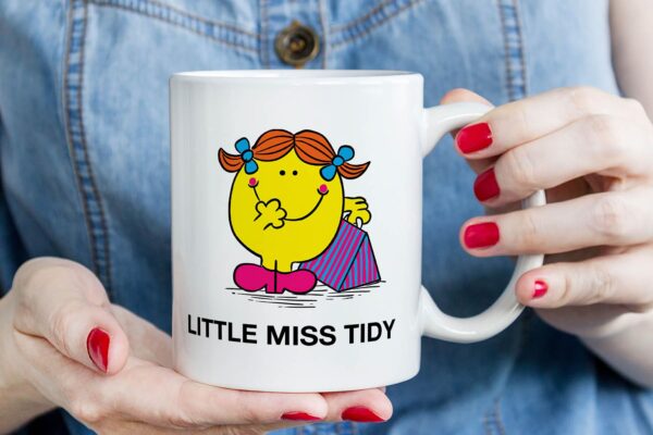 6 Little Miss tidy
