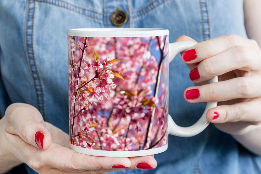 6_cherry-blossom.jpg
