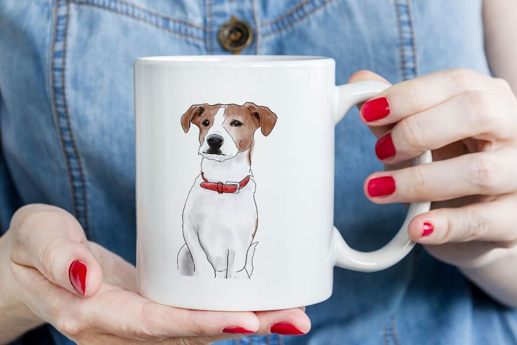 6_jack-russell.jpg