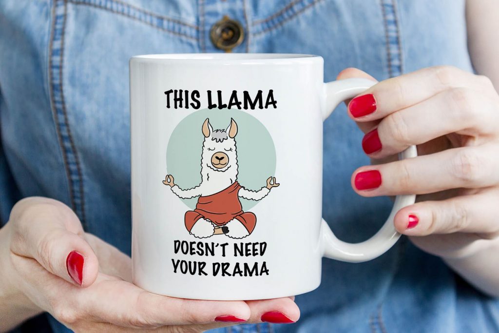 6_llama-drama.jpg