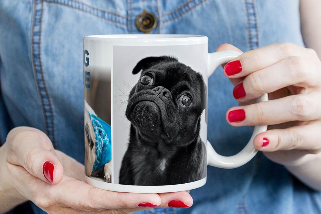 6_pug-life.jpg
