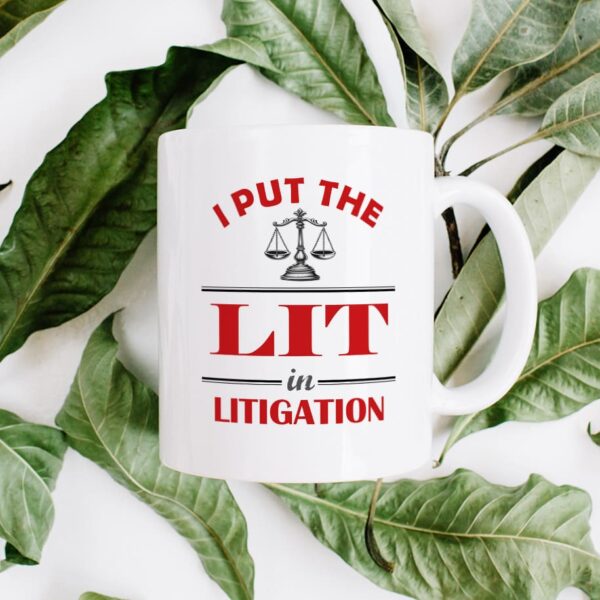 7 litigation 2