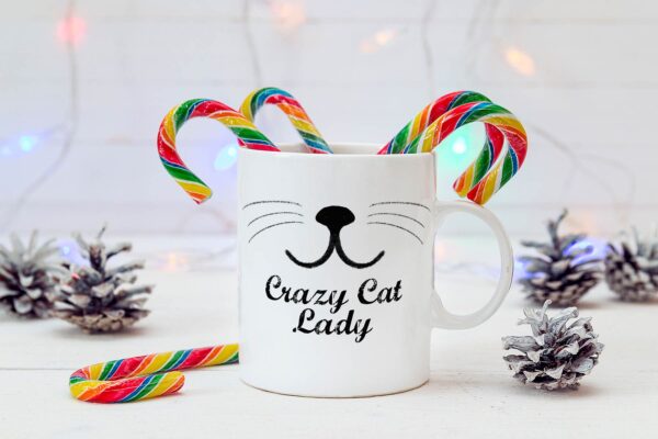 8 Crazy cat lady2
