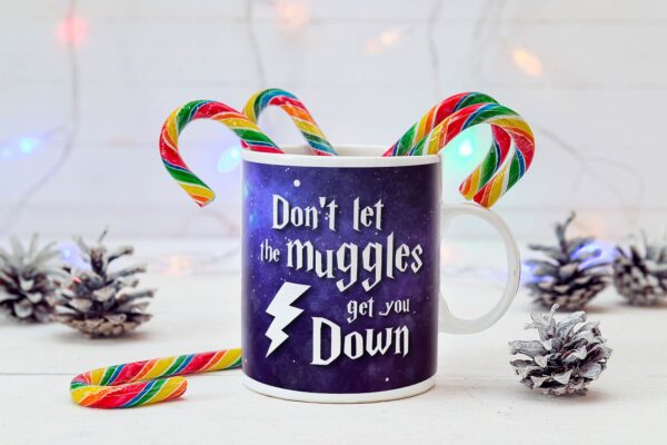 8 Dont let the muggles get you down