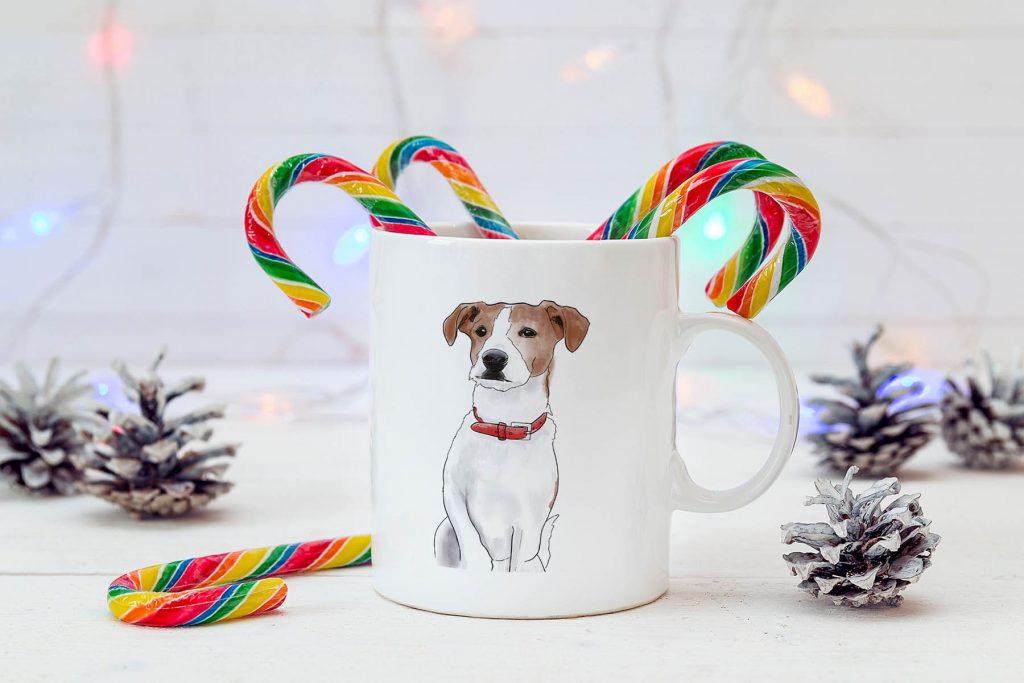 8_jack-russell.jpg