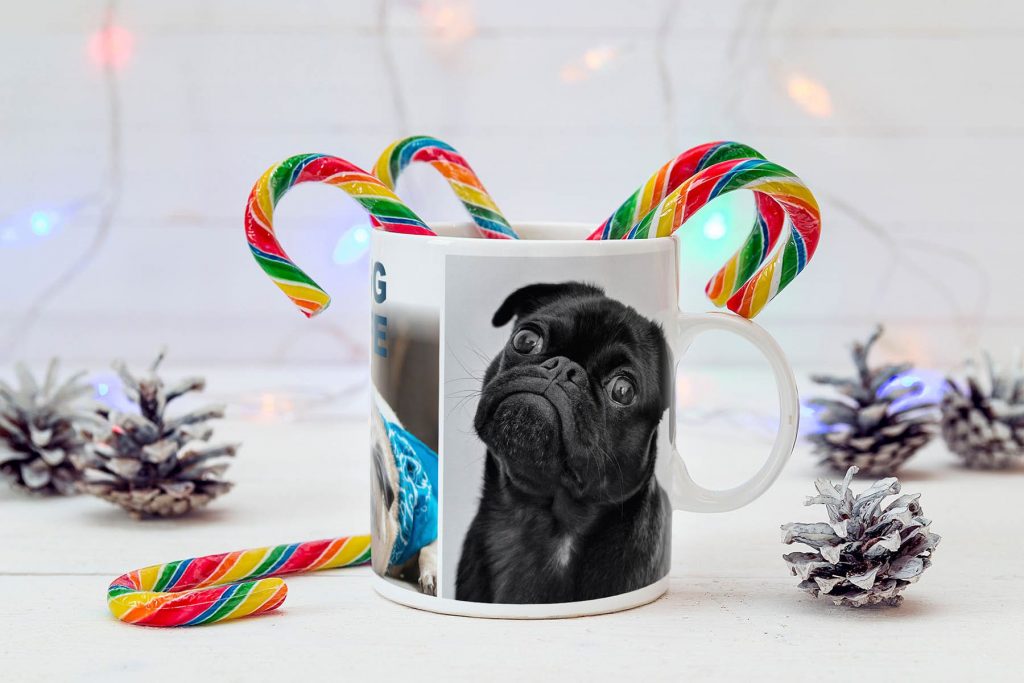 8_pug-life.jpg