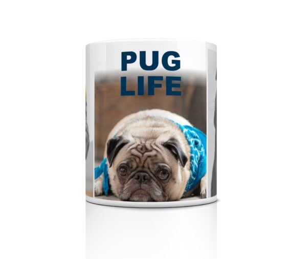 front view pug life