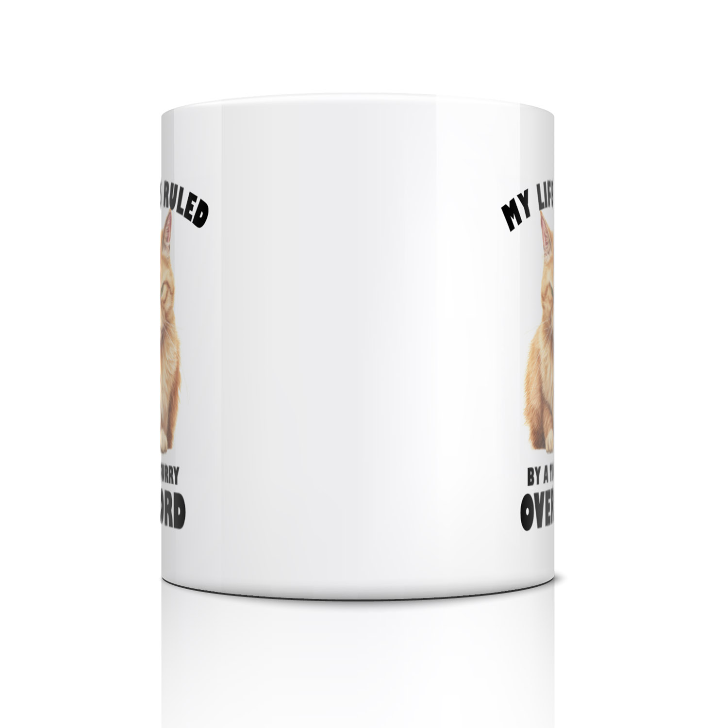 Quirky Ginger Cat Overlord Mug for Pet Lovers - 11oz