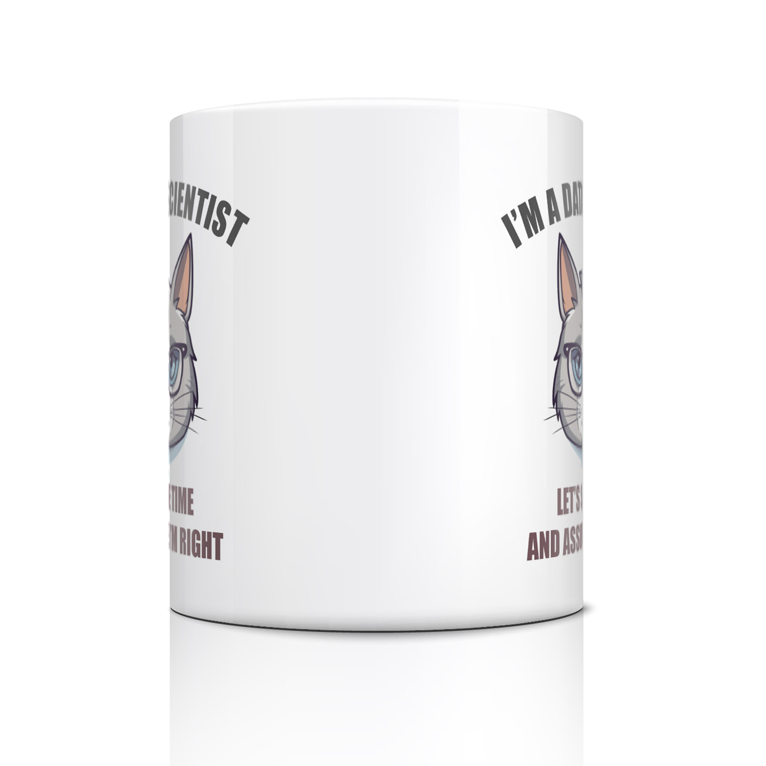Data Scientist Mug
