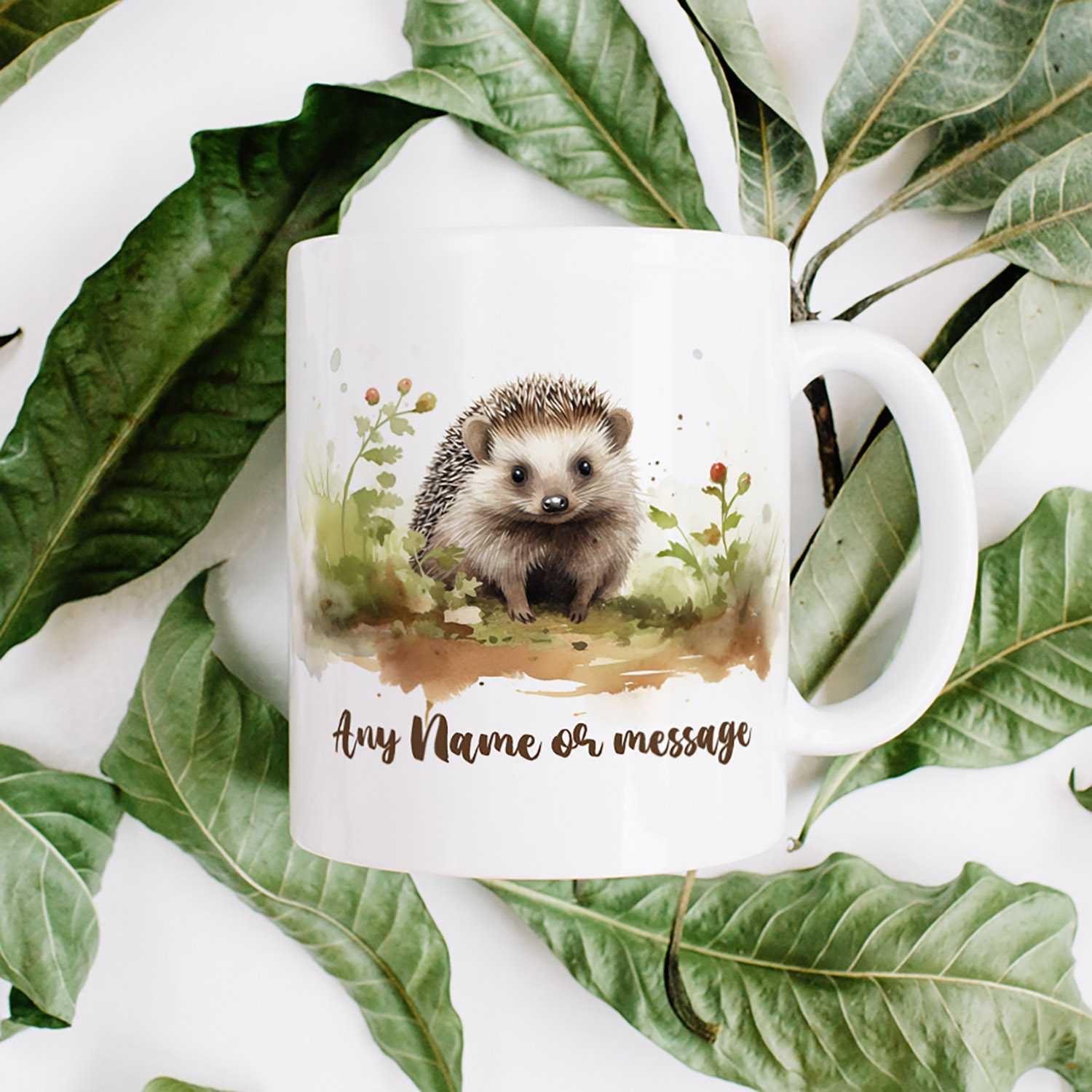 Custom Hedgehog Mug - Personalised 11oz Ceramic Gift