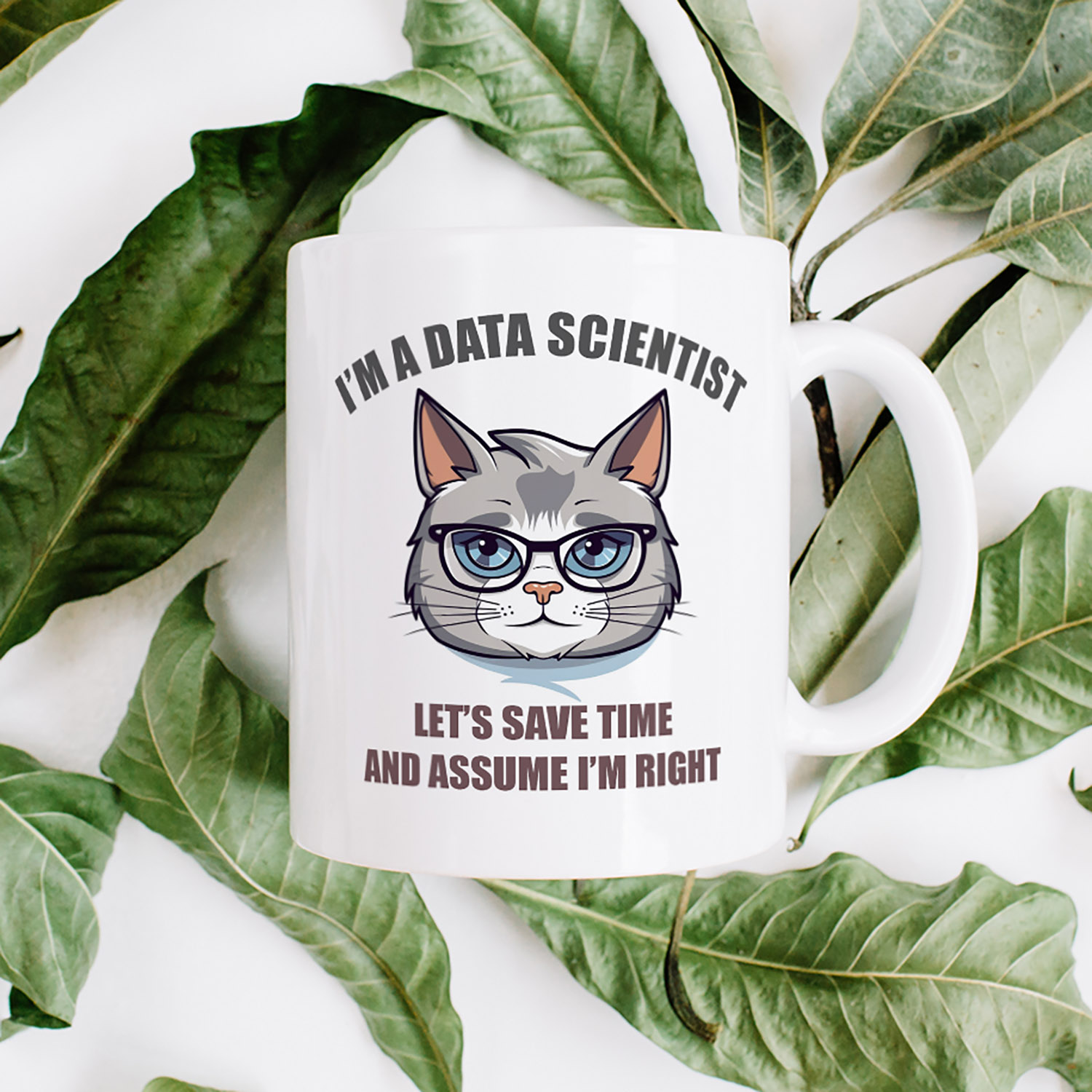 Data Scientist Mug