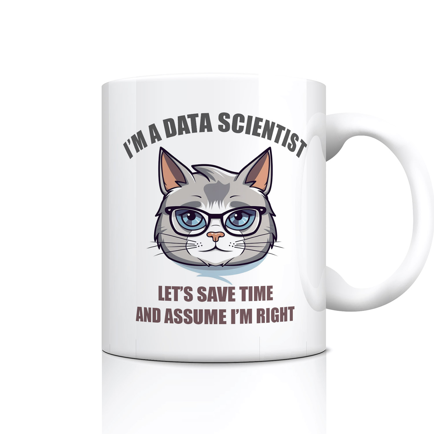 Data Scientist Mug