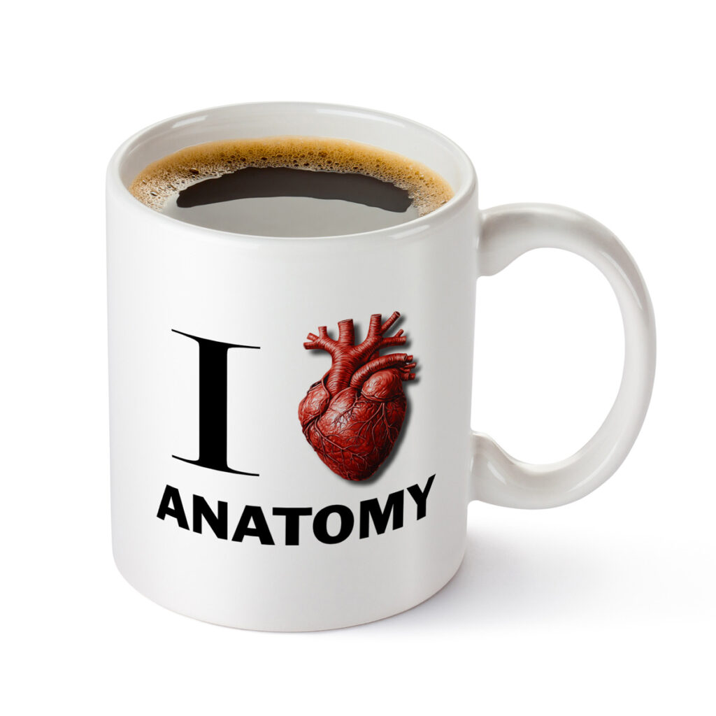 Anatomy Lover's White Mug with Anatomical Heart Design