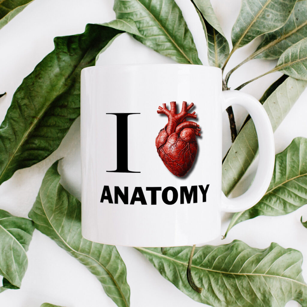 Anatomy Lover's White Mug with Anatomical Heart Design
