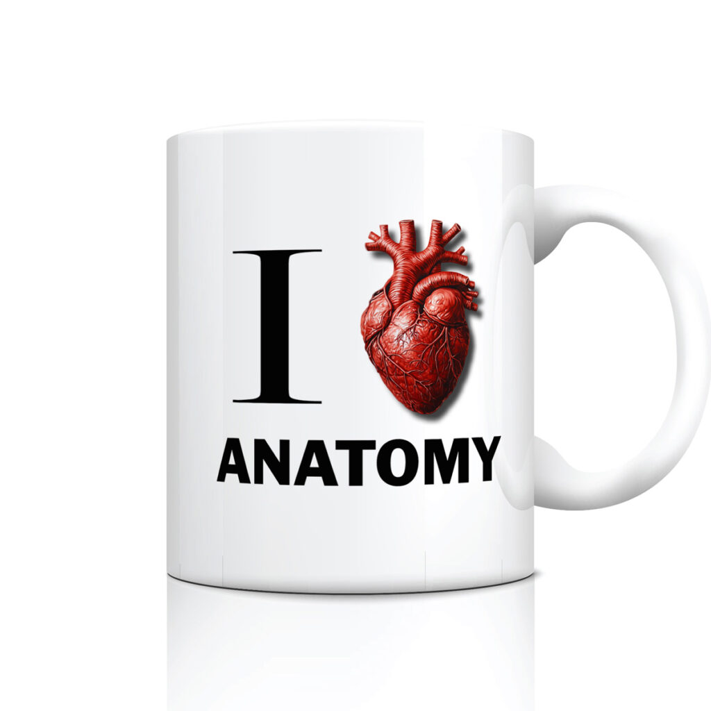 Anatomy Lover's White Mug with Anatomical Heart Design