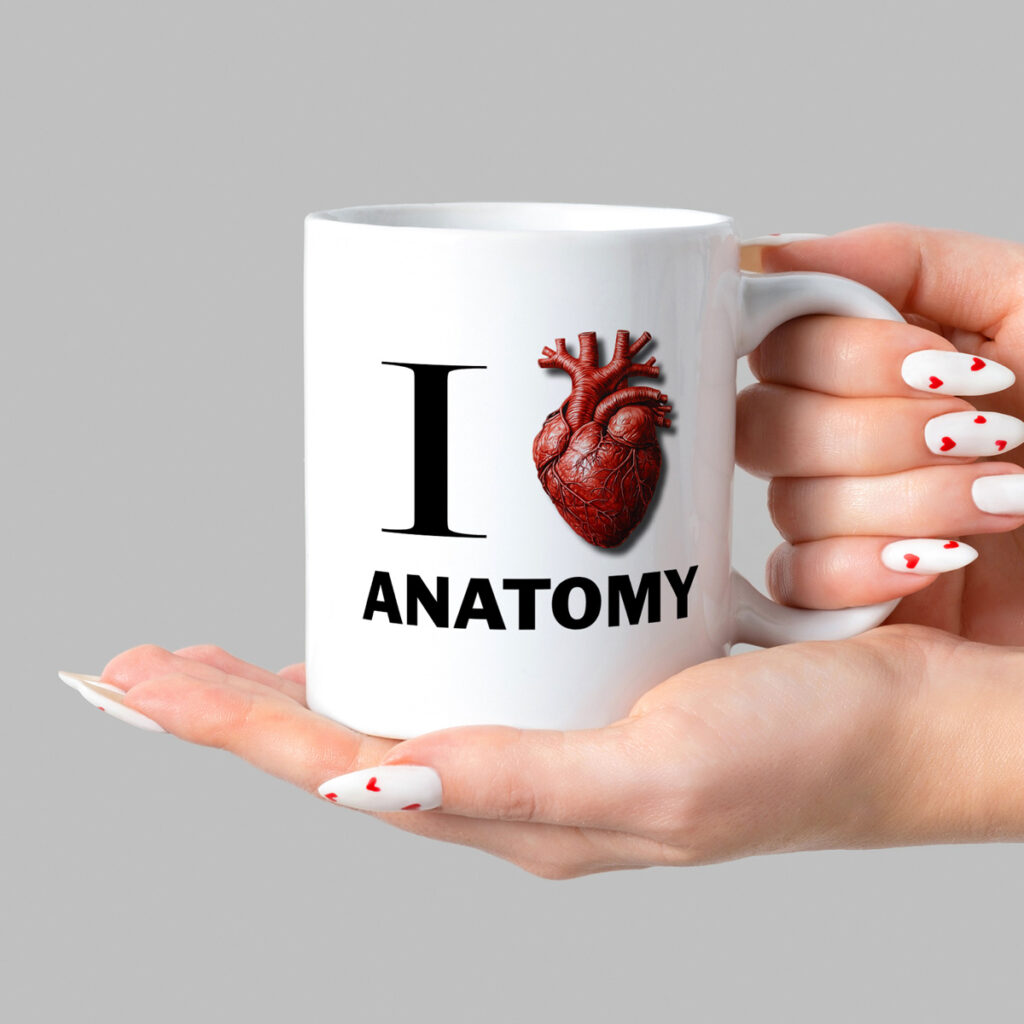 Anatomy Lover's White Mug with Anatomical Heart Design